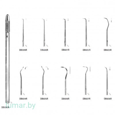 Скалер MORSE, стандартный набор (10 наконечников + 2 рукоятки), артикул - DB620R