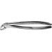 Щипцы ANATOMICA зубные, для нижних клыков, № 4, артикул - DG404R Щипцы ANATOMICA зубные, для нижних клыков, № 4, артикул - DG404R