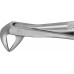Щипцы ANATOMICA зубные, для нижних корней, № 74N, артикул - DG700R
