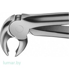 Щипцы BUECHS ANATOMICA № 22 Щипцы BUECHS ANATOMICA № 22