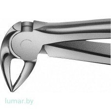 Щипцы BUECHS ANATOMICA зубные, № 33А Щипцы BUECHS ANATOMICA зубные, № 33А