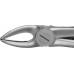Щипцы BUECHS ANATOMICA зубные, № 136, артикул - DH736R