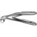 Щипцы KLEIN зубные, для детей, для нижних корней, артикул - DK170R Щипцы KLEIN зубные, для детей, для нижних корней, артикул - DK170R