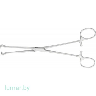 Щипцы BABCOCK кишечные, 200 мм, артикул - EA033R