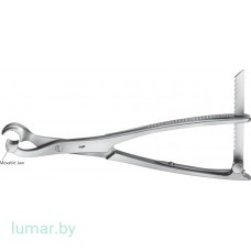 Щипцы LAMBOTTE костные, с подвижной браншей, 10 мм, 220 мм Щипцы LAMBOTTE костные, с подвижной браншей, 10 мм, 220 мм